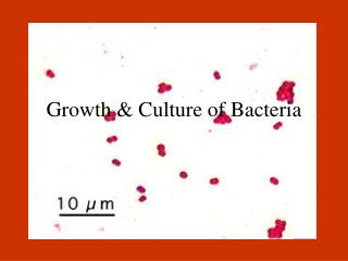 Growth &amp; Culture of Bacteria