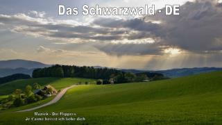 Das Schwarzwald - DE