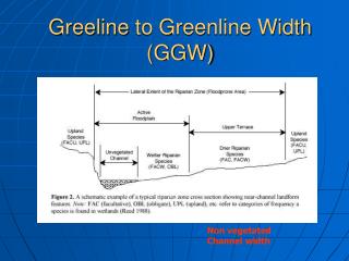 Greeline to Greenline Width (GGW)