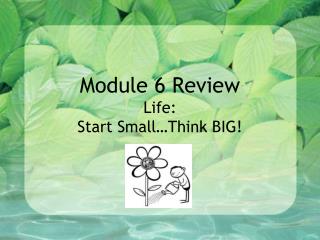 Module 6 Review Life: Start Small…Think BIG!