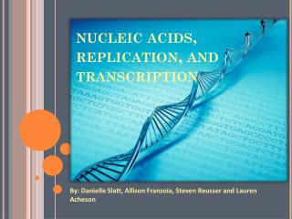 nucleic acids, replication, and transcription