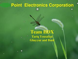 Team HDX Tariq Yousafzai Ghayyur and Basit