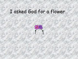 I asked God for a flower…
