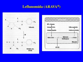 Leflunomida (ARAVA  )