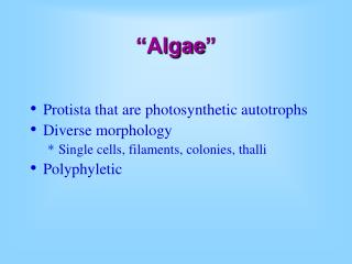 “Algae”