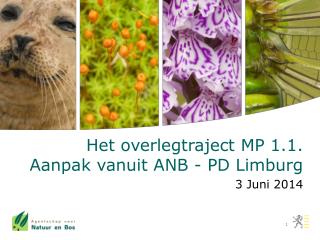 Het overlegtraject MP 1.1. Aanpak vanuit ANB - PD Limburg