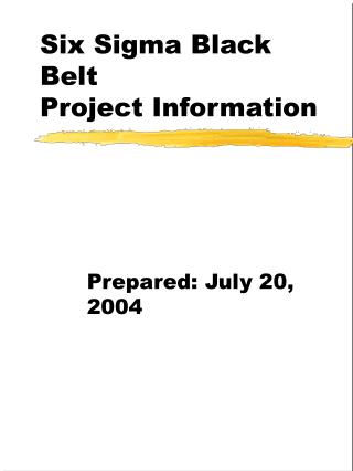 Six Sigma Black Belt Project Information