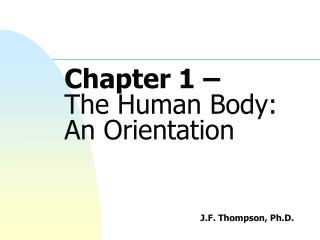 Chapter 1 – The Human Body: An Orientation