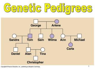 Genetic Pedigrees