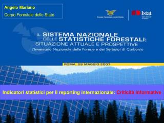Indicatori statistici per il reporting internazionale: Criticità informative