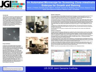 An Automated Microscope for Screening Ciona intestinalis Embryos for Growth and Staining