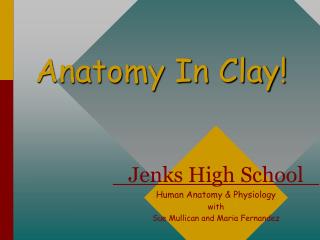 Anatomy In Clay!