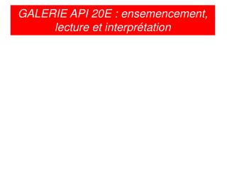 GALERIE API 20E : ensemencement, lecture et interprétation