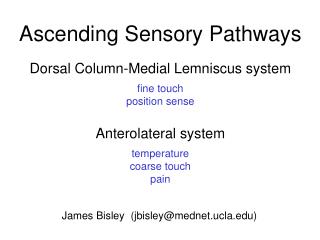 Ascending Sensory Pathways