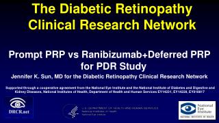 The Diabetic Retinopathy Clinical Research Network