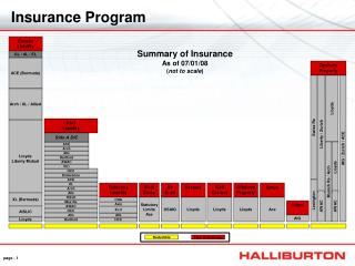 Insurance Program