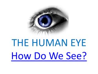 THE HUMAN EYE How Do We See?