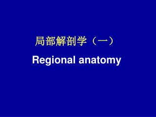 局部解剖学（一） Regional anatomy