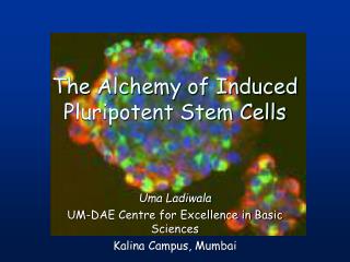 The Alchemy of Induced Pluripotent Stem Cells
