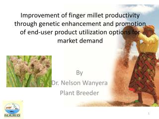 By Dr. Nelson Wanyera Plant Breeder