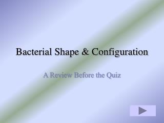 Bacterial Shape &amp; Configuration