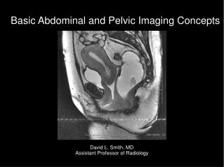 Basic Abdominal and Pelvic Imaging Concepts