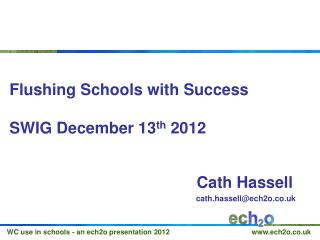 Flushing Schools with Success SWIG December 13 th 2012