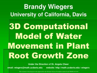3D Computational Model of Water Movement in Plant Root Growth Zone