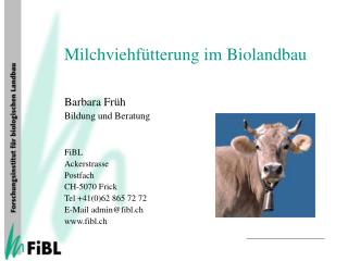 Milchviehfütterung im Biolandbau