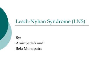 Lesch-Nyhan Syndrome (LNS)