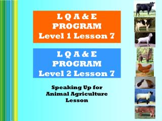 L Q A &amp; E PROGRAM Level 2 Lesson 7