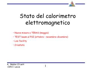 Stato del calorimetro elettromagnetico
