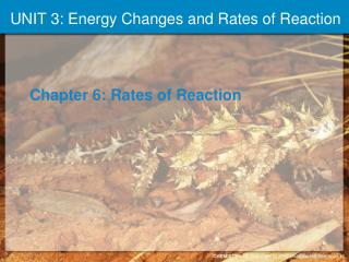 UNIT 3: Energy Changes and Rates of Reaction