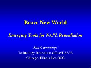 Brave New World Emerging Tools for NAPL Remediation