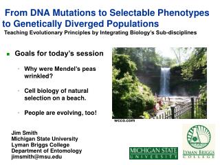 From DNA Mutations to Selectable Phenotypes to Genetically Diverged Populations