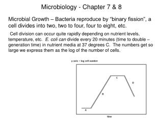 Microbiology - Chapter 7 &amp; 8