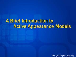 A Brief Introduction to 	Active Appearance Models