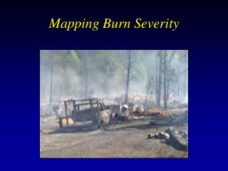 Mapping Burn Severity