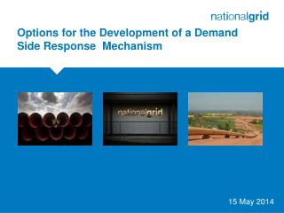 Options for the Development of a Demand Side Response Mechanism