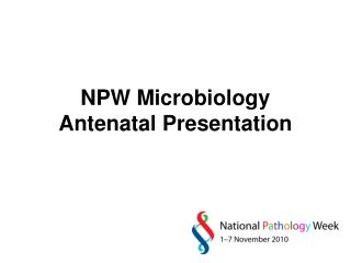 NPW Microbiology Antenatal Presentation