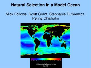 Natural Selection in a Model Ocean Mick Follows, Scott Grant, Stephanie Dutkiewicz, Penny Chisholm