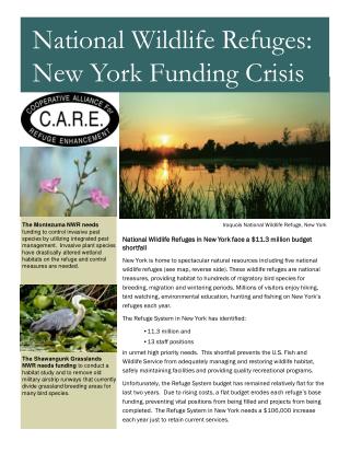 National Wildlife Refuges in New York face a $11.3 million budget shortfall