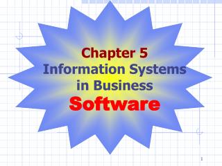 Chapter 5 Information Systems in Business Software
