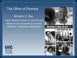 The Office of Diversity