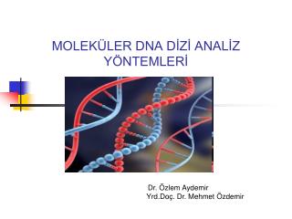 MOLEKÜLER DNA DİZİ ANALİZ YÖNTEMLERİ