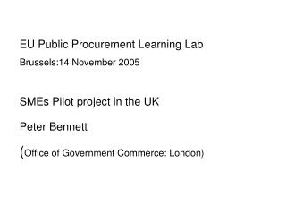 EU Public Procurement Learning Lab Brussels:14 November 2005 SMEs Pilot project in the UK