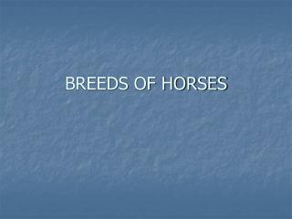 BREEDS OF HORSES
