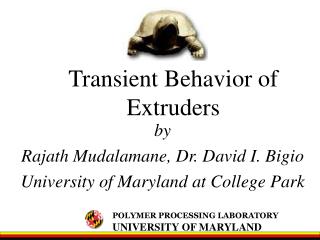 Transient Behavior of Extruders