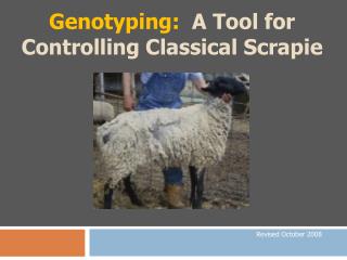 Genotyping: A Tool for Controlling Classical Scrapie