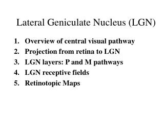 Lateral Geniculate Nucleus (LGN)
